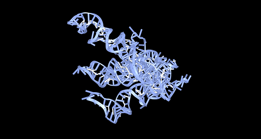 3D circular RNA