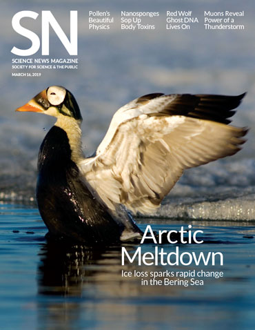 March 16, 2019 issue