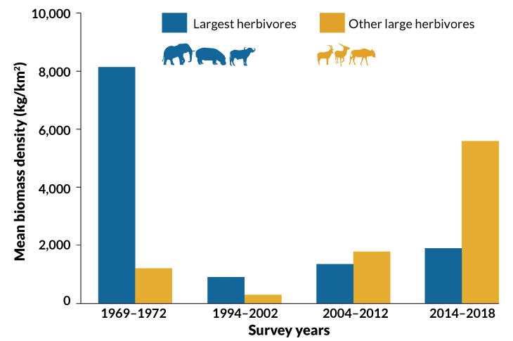 herbivore graph
