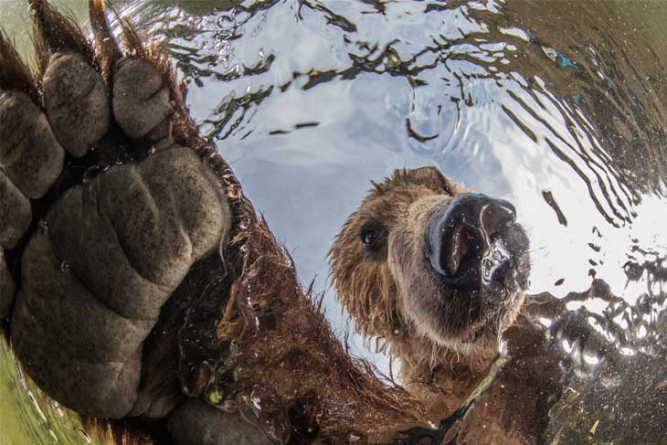 Here are the 2019 BigPicture Photography Competition winners | Science News