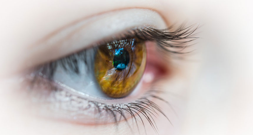 50 years ago, scientists tried to transplant part of a human eye