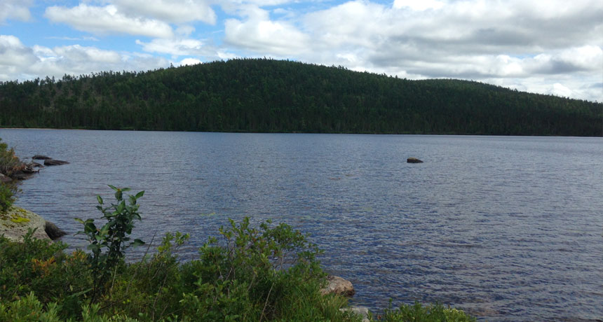 Sinclair Lake