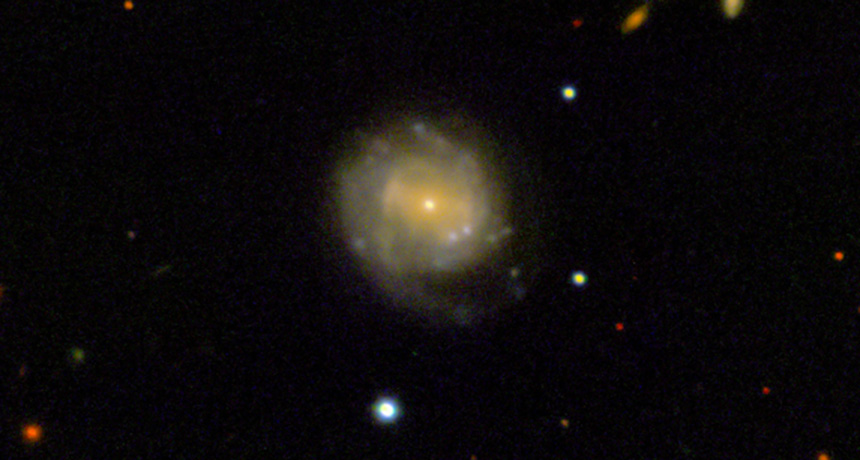 cosmic Cow