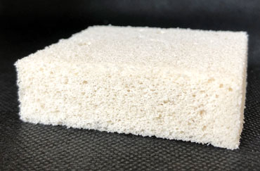 foam made from chitin