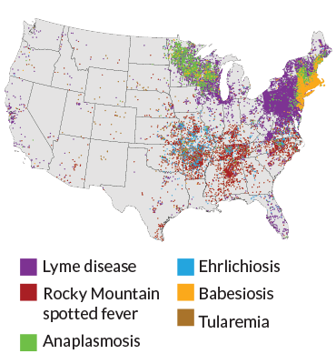 tick-borne disease map
