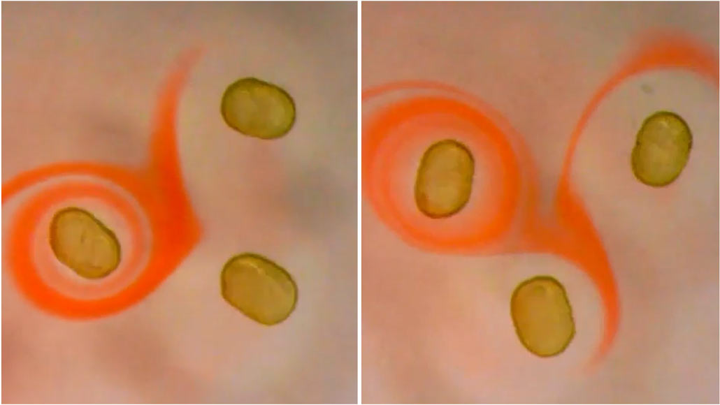 Permanent liquid magnets have now been created in the lab