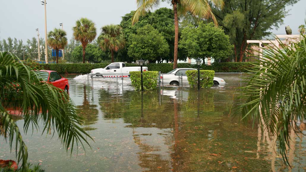 How The 5 Riskiest U S Cities For Coastal Flooding Are