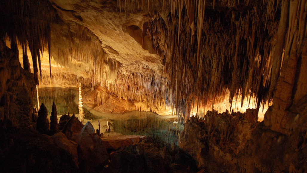 Coves del Drac