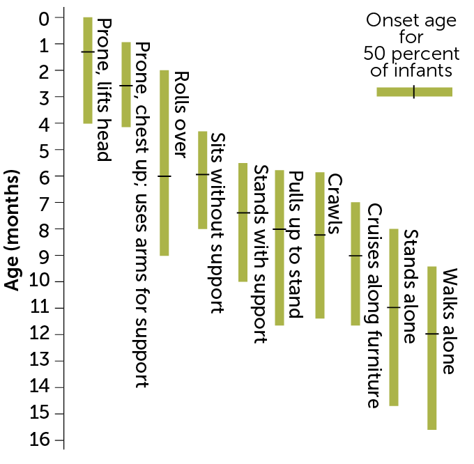 Motor Development Milestones Chart