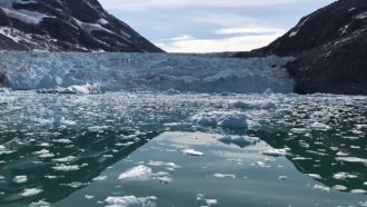 tidewater glacier Greenland