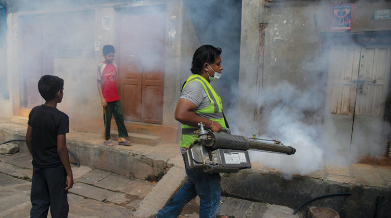 Unseen Chikungunya Threat Whos Urgent Call To Action For Public Health - wsktrp7