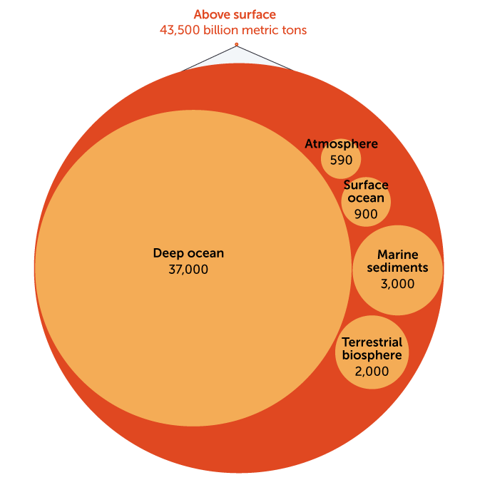 Total carbon on Earth surface graphic