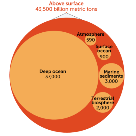 Total carbon on Earth surface graphic