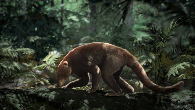 Loxolophus mammal