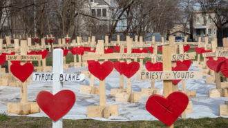 Crosses for Chicago gun violence victims