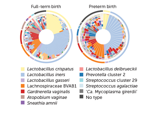 Microbiome diversity graphic