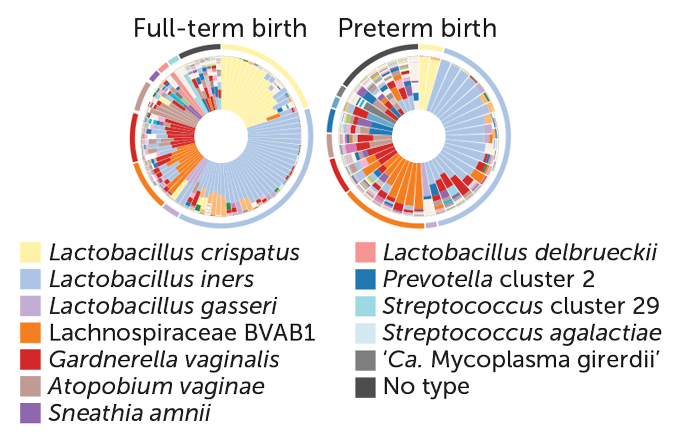 Microbiome diversity