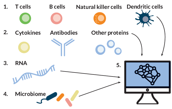 Systems approach graphic