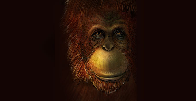Gigantopithecus