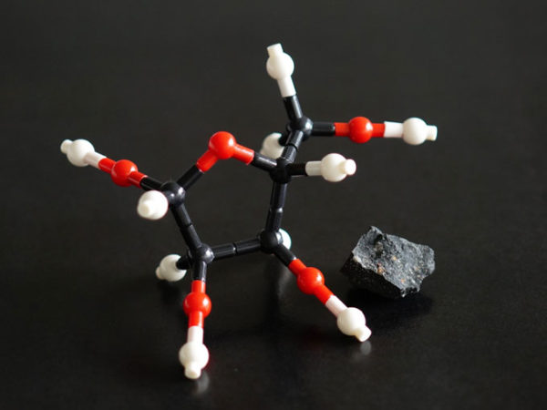 ribose model