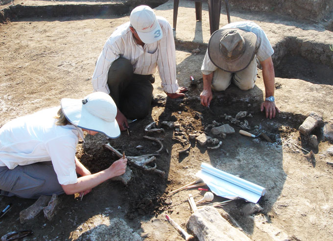 Rosetta stone skeleton excavation