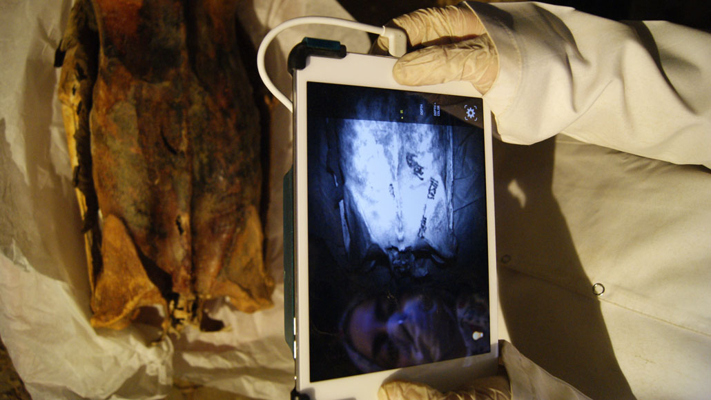 Infrared images reveal hidden tattoos on Egyptian mummies Infrared images reveal hidden tattoos on Egyptian mummies