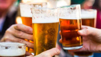 beer