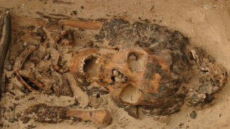 ancient skeleton wearing cone-shaped cap