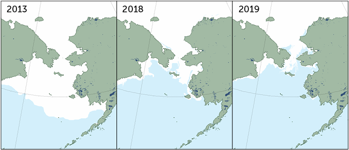 Shrinking ice extent in the Bering Sea