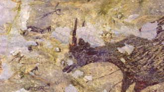 hunting scene with mini buffalo