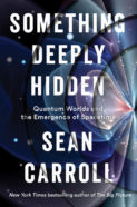 Something Deeply Hidden cover