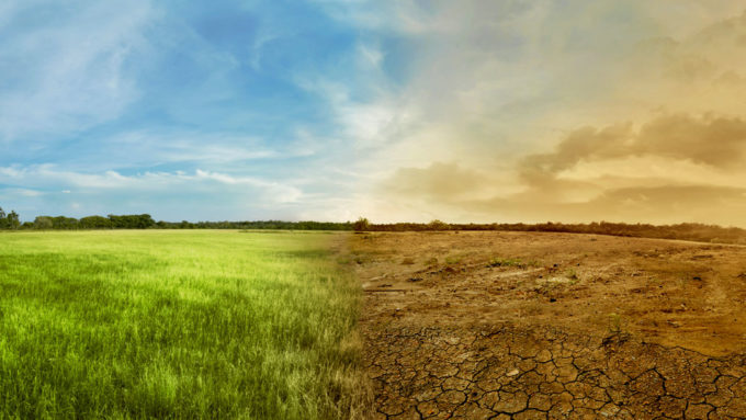 stock image of dry vs. healthy environment