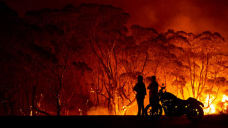 Lake Tabourie fire