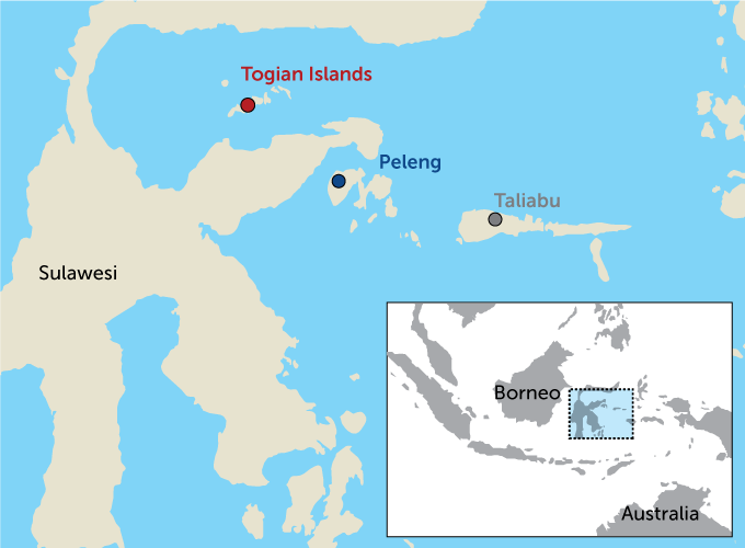 Wallacea islands map