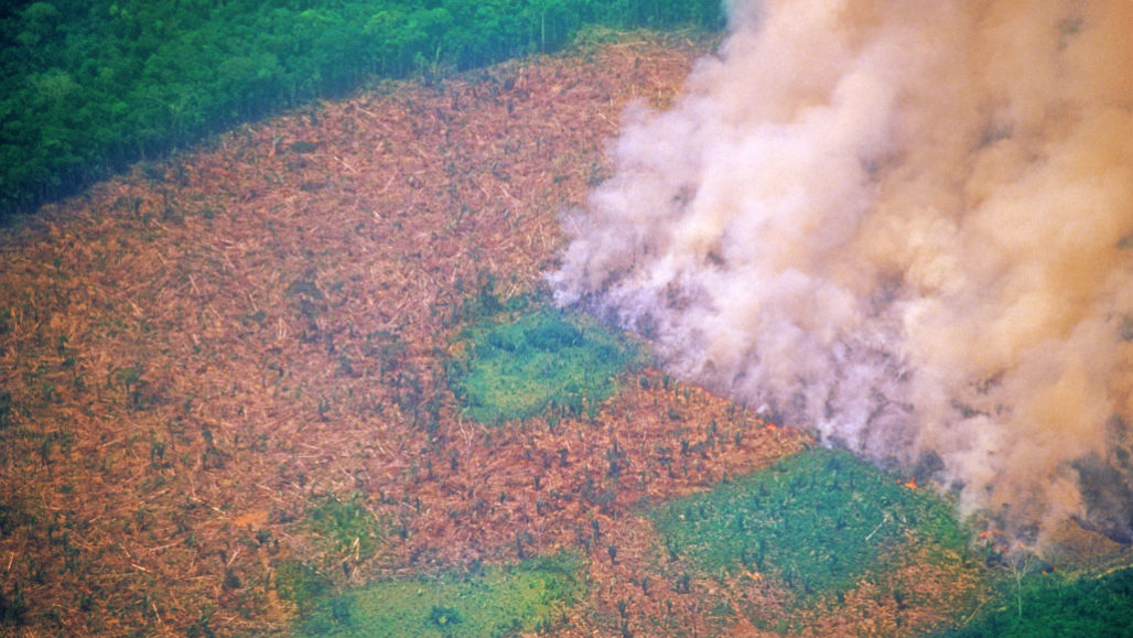 Wildfires Could Flip The Amazon From A Carbon Sponge To A Source Science News