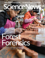 November 9, 2019 issue