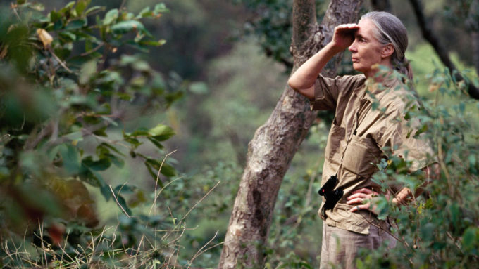 Jane Goodall