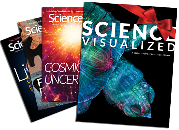 Science Visualized - 2020
