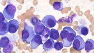 cells