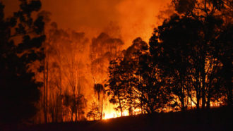 Queensland Australia wildfire