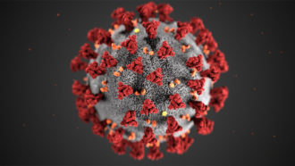 Coronavirus illustration