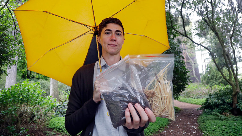 Person holding sample of composted cow