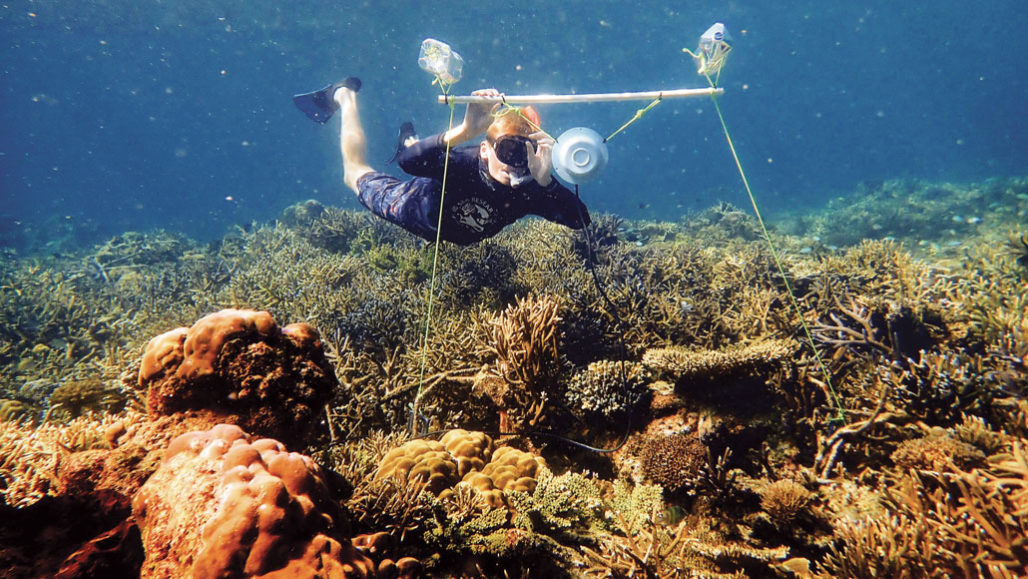 degraded coral reef