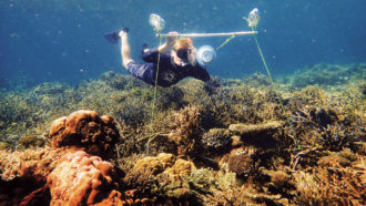 degraded coral reef