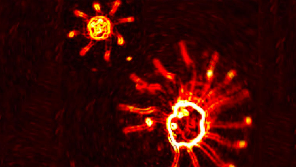 eencellige algen met flagella