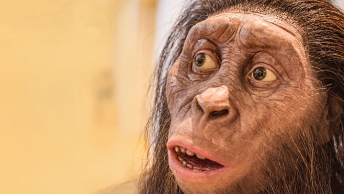 Lucy reconstruction