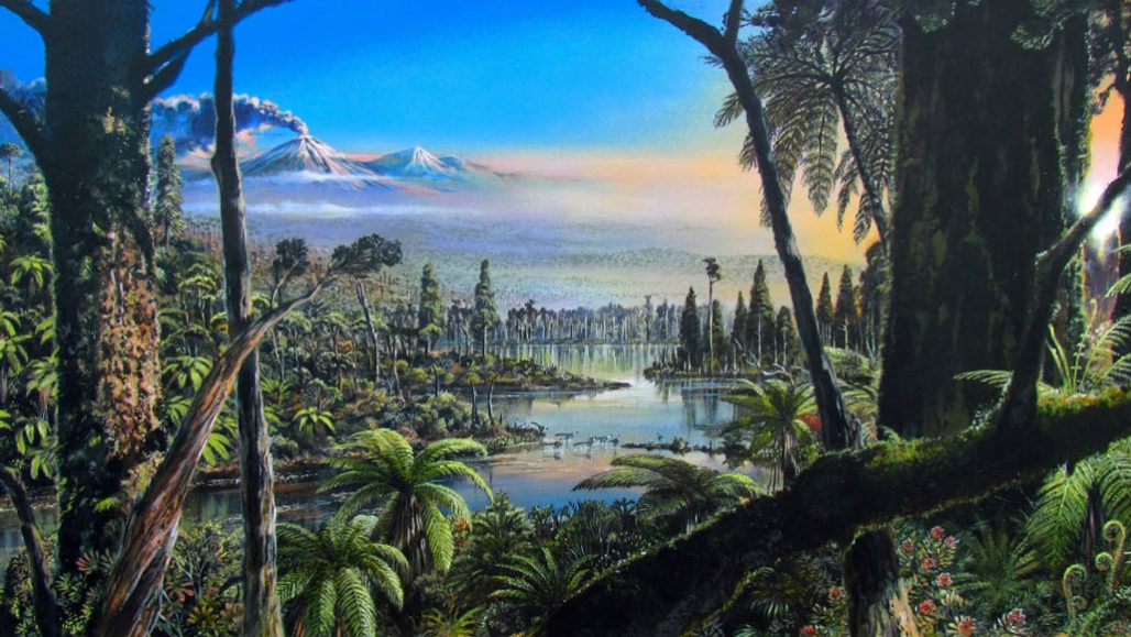 Roughly 90 Million Years Ago A Rainforest Grew In Antarctica Science News