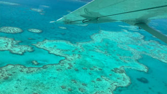 Great Barrier Reef aerial survey