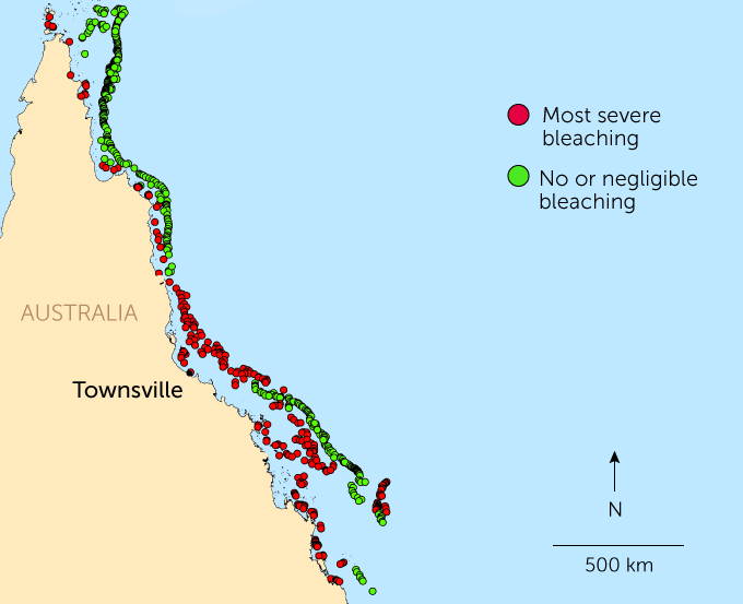 Map of bleaching observed on the Great Barrier Reef, 2020
