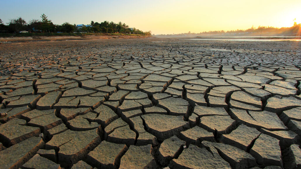 Climate change made a U.S. drought one of the worst in 1,200 years |  Science News